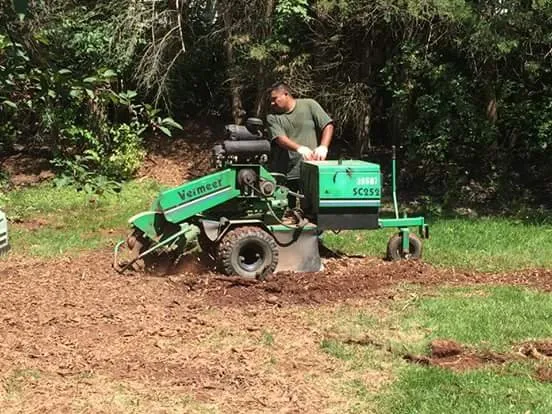 Professional outdoor landscaping experts serving Spruce Pine, NC - WNC Cruz Tree Service