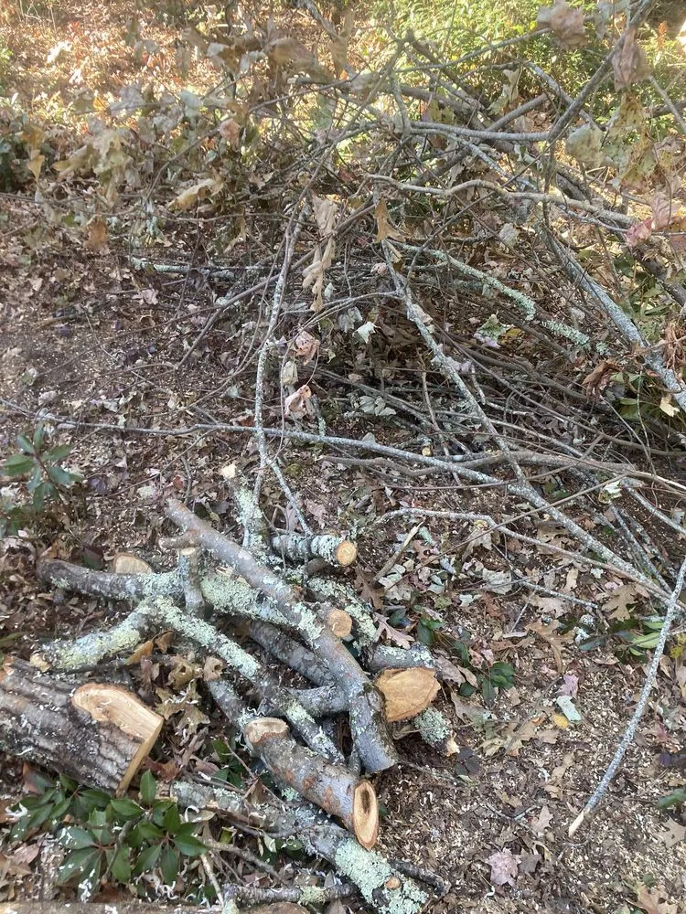 Expert lawn care service in Spruce Pine, NC by WNC Cruz Tree Service