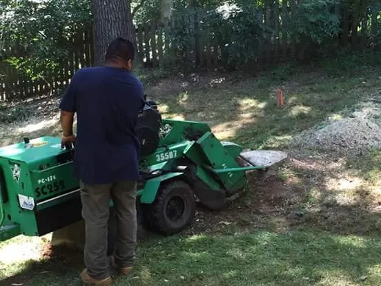 Reliable outdoor landscaping in Spruce Pine, NC by WNC Cruz Tree Service