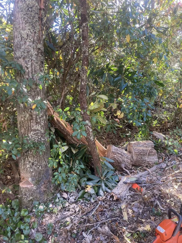 Local garden landscaping in Spruce Pine, NC by WNC Cruz Tree Service