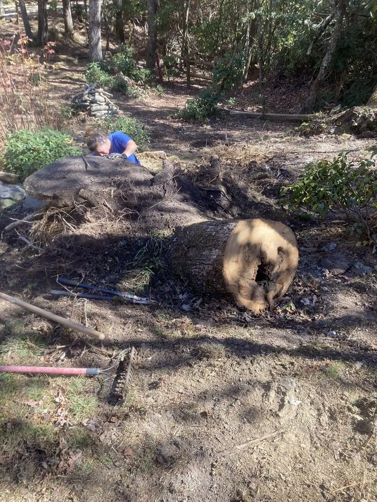 Local yard cleanup service with custom design in Spruce Pine, NC by WNC Cruz Tree Service