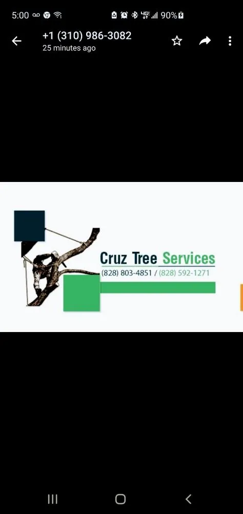 Affordable landscape installation experts serving Spruce Pine, NC - WNC Cruz Tree Service