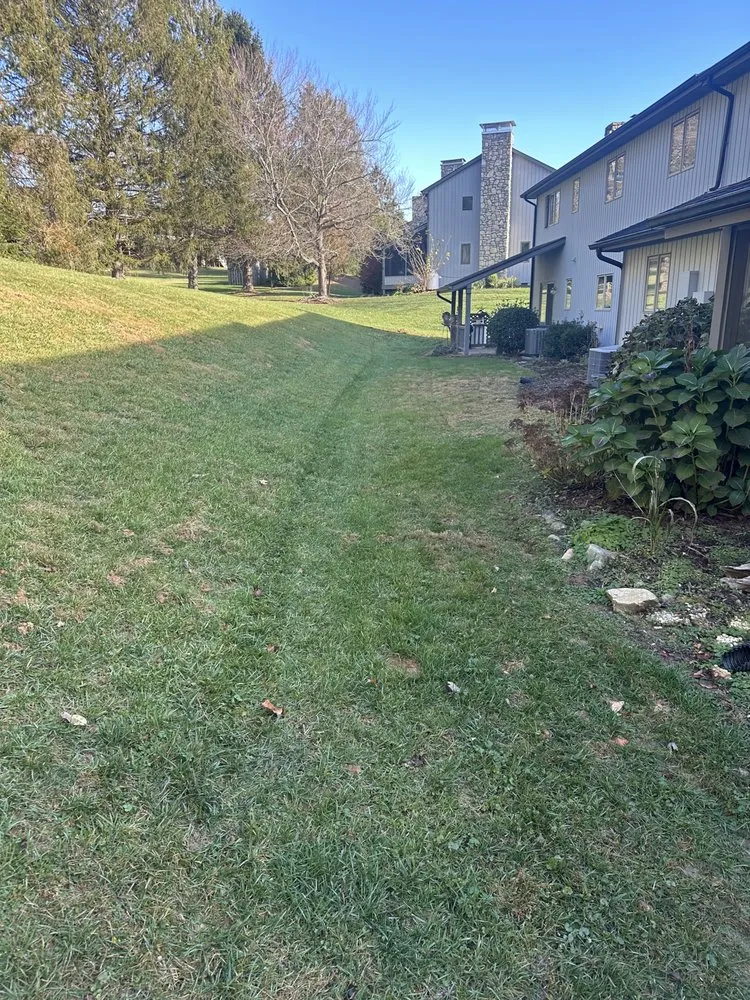 Local lawn mowing service in Alexander, NC by WNC Grading & Utilities