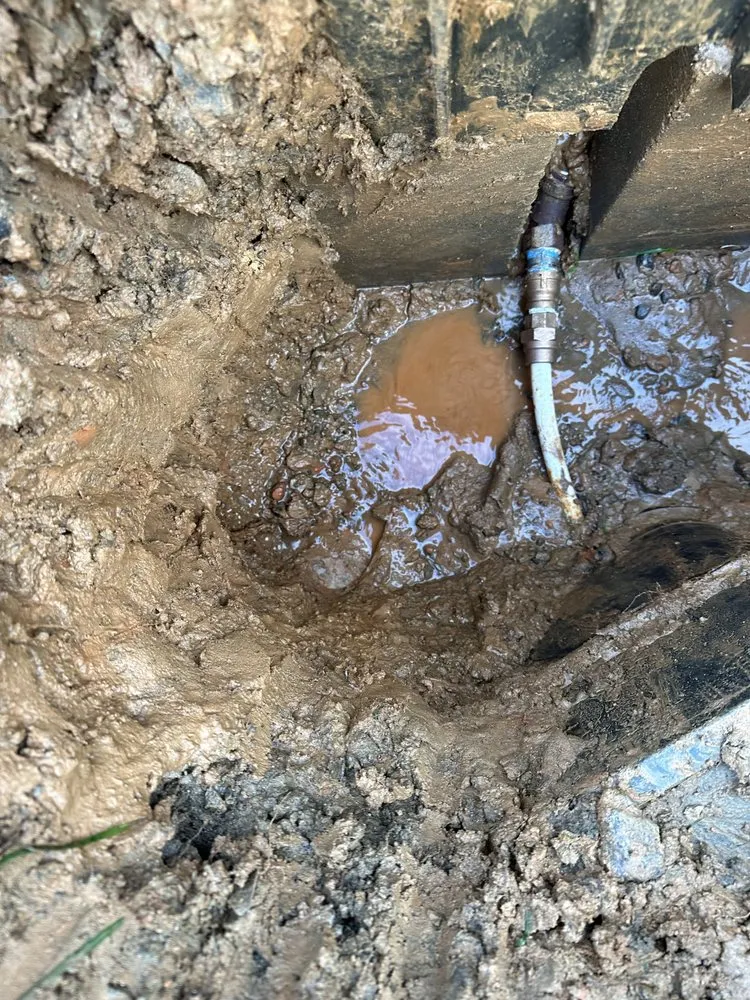Professional yard maintenance for homes across Alexander, NC - WNC Grading & Utilities