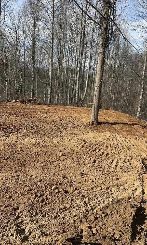 Trusted yard cleanup service experts serving Alexander, NC - WNC Grading & Utilities