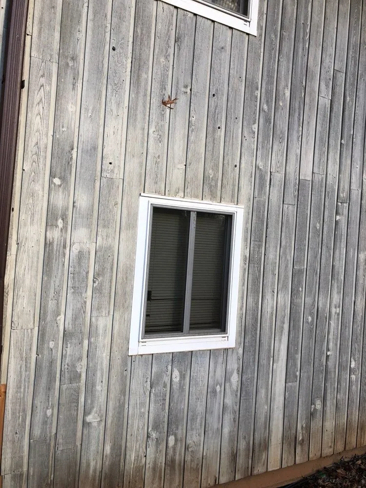 Professional yard cleanup service near you across Asheville, NC - WNC Hardscapes