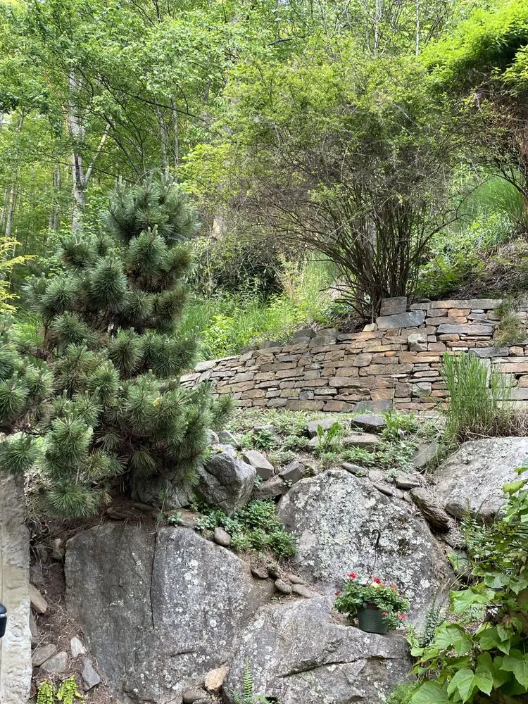 Affordable lawn care service in Asheville, NC by WNC Home & Property Maintenance