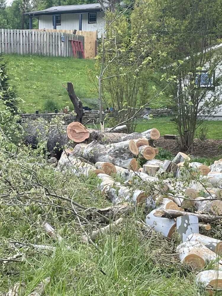 Custom lawn care service experts serving Asheville, NC - WNC Home & Property Maintenance