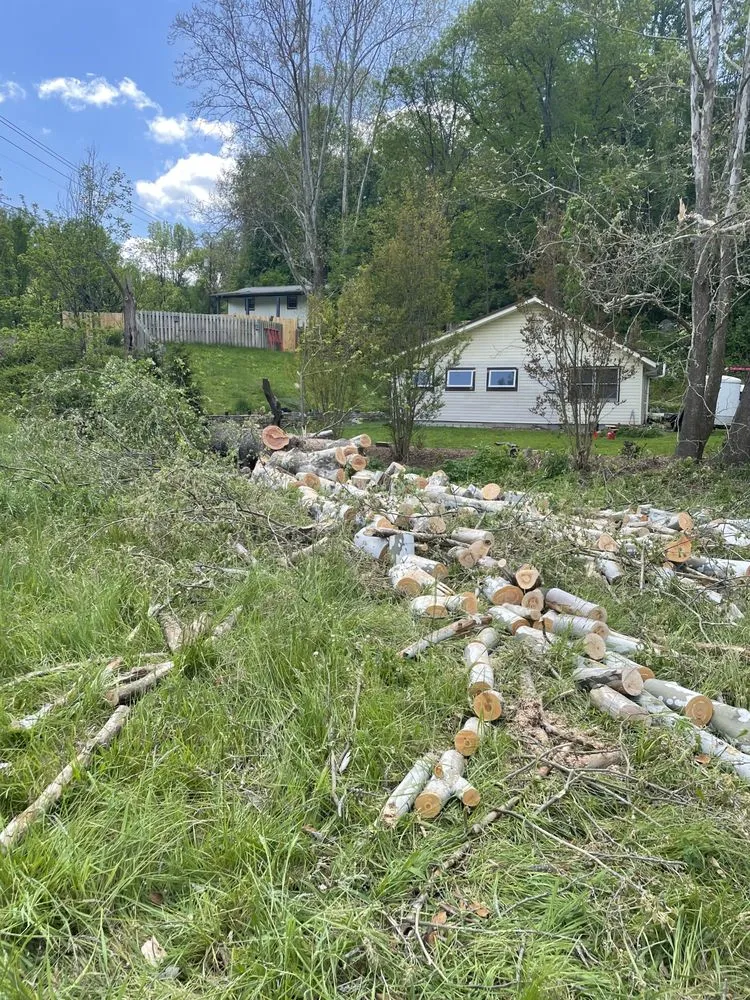 Expert yard maintenance in Asheville, NC - WNC Home & Property Maintenance