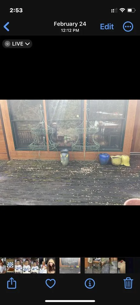 Trusted landscape design in Asheville, NC - WNC Home & Property Maintenance