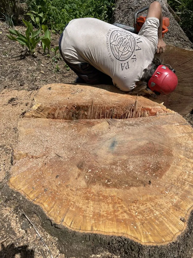 Professional landscape installation for beautiful yards in Asheville, NC by WNC Home & Property Maintenance