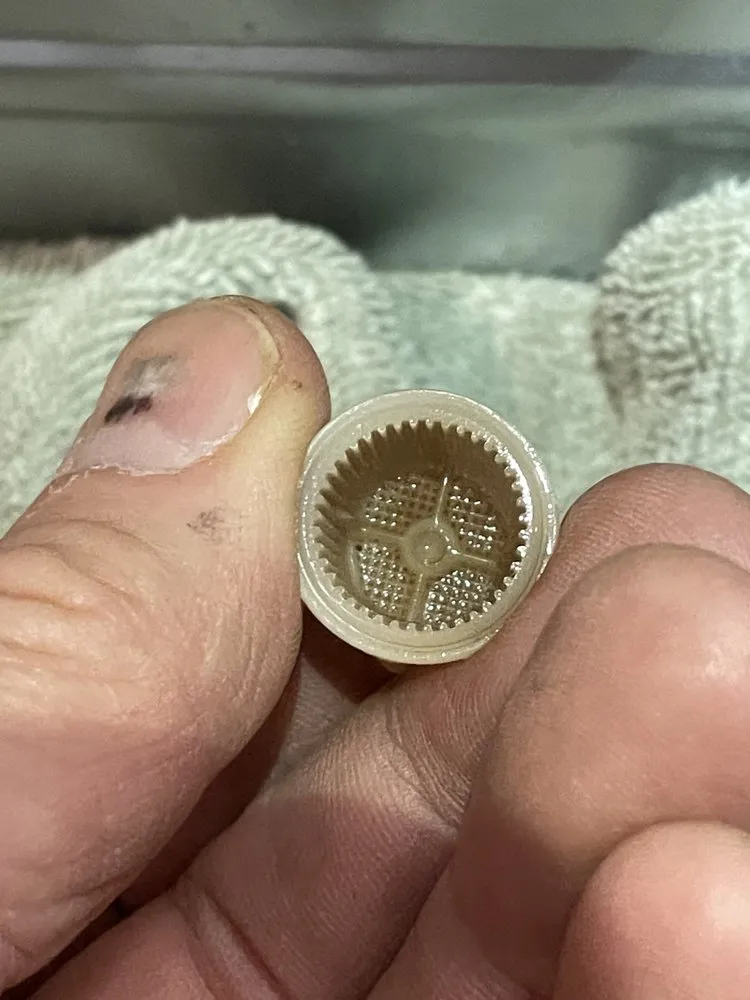 Custom yard cleanup service for homes in Asheville, NC by WNC Home & Property Maintenance