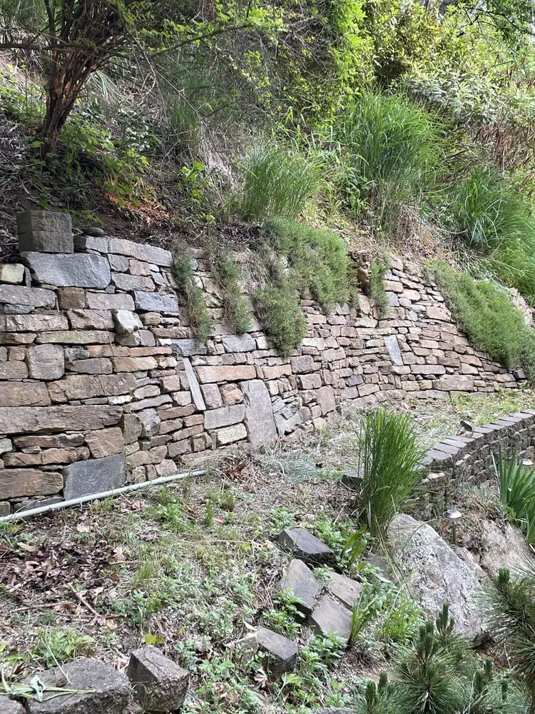 Professional landscaping services in Asheville, NC by WNC Home & Property Maintenance