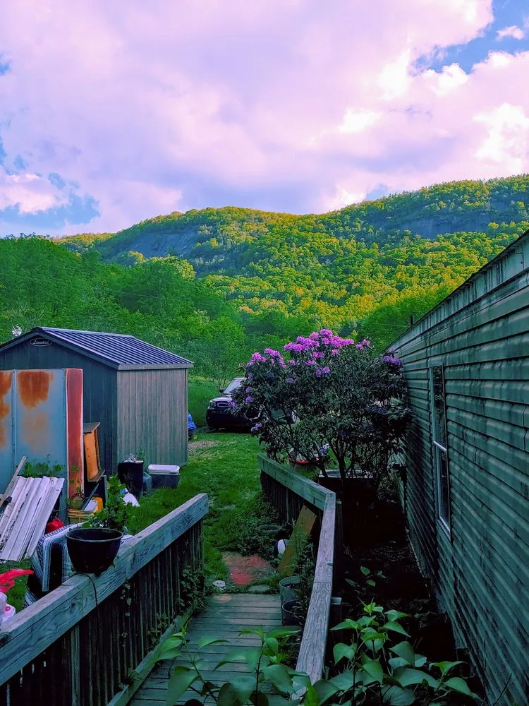 Professional yard cleanup service in Fletcher, NC by WNC Landscaping