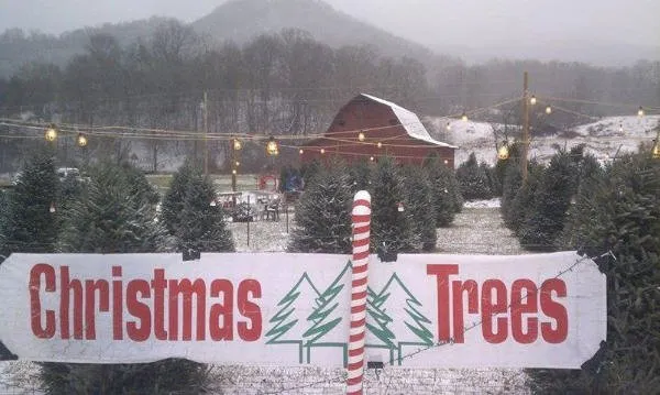 Custom lawn mowing service experts serving Waynesville, NC - WNC Landscaping