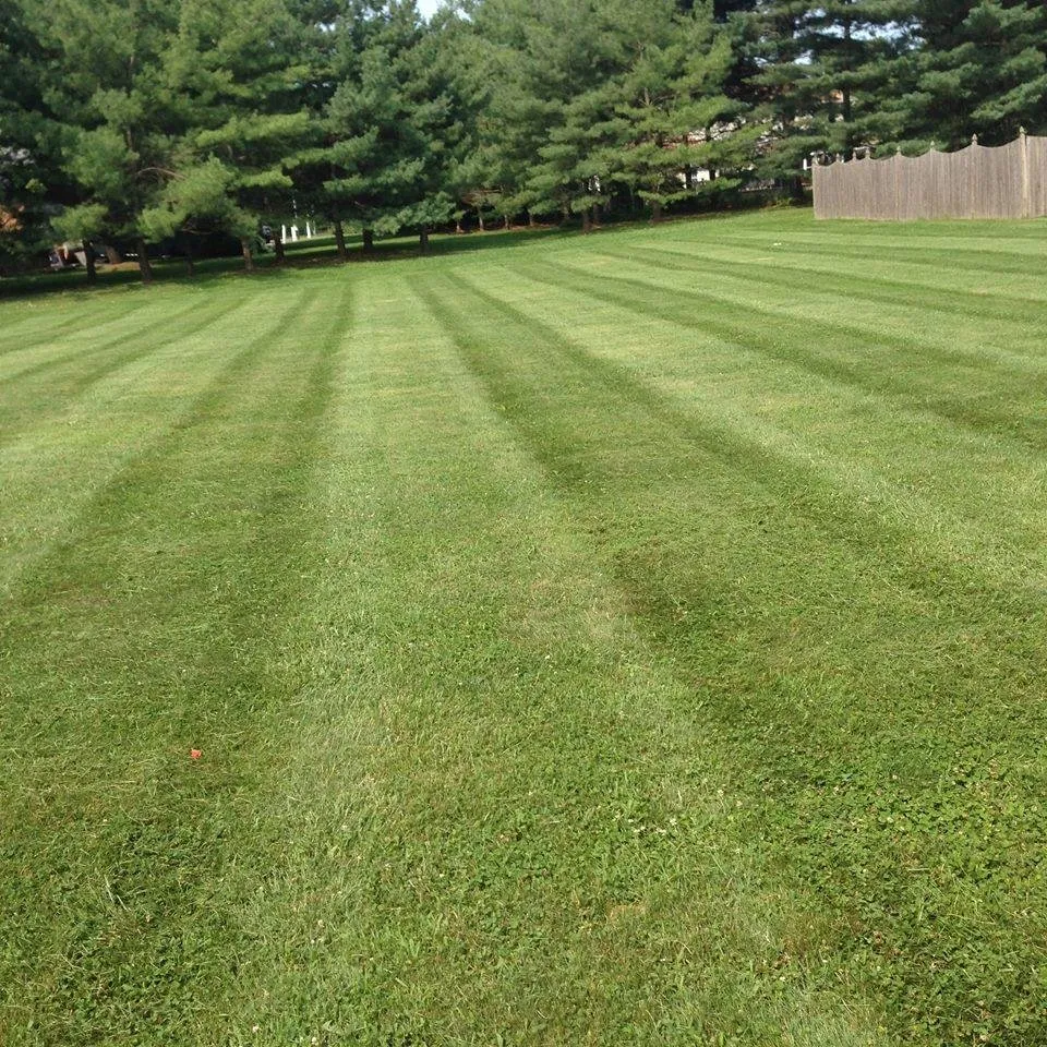 Top-rated garden landscaping for residential properties across Howell, NJ - Wnoroski Landscaping