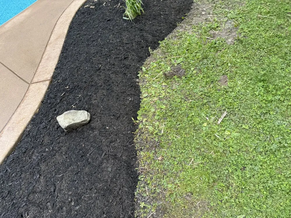 Professional yard maintenance in Holland, NY by WNY Outdoor Services