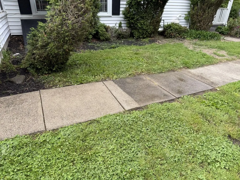 Trusted landscape design experts serving Holland, NY - WNY Outdoor Services