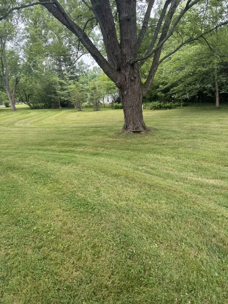 Affordable outdoor landscaping in Holland, NY by WNY Outdoor Services