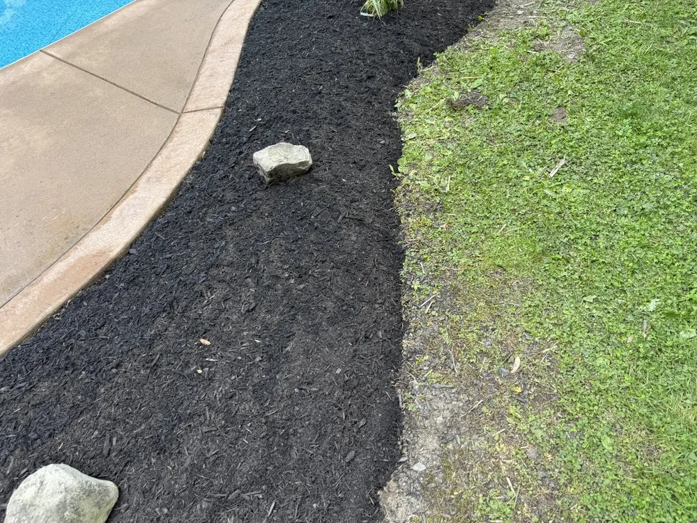 Local yard cleanup service in Holland, NY by WNY Outdoor Services