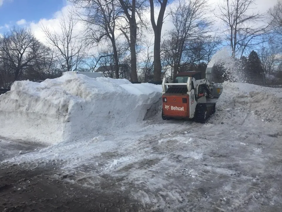 Expert yard cleanup service for year-round maintenance in Orchard Park, NY by WNY Snow Removal