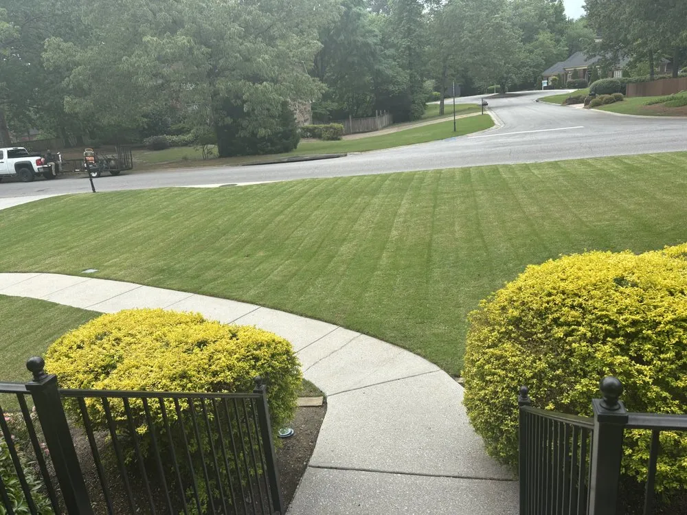 Trusted landscape installation for year-round maintenance across Birmingham, AL - Woe Family Services