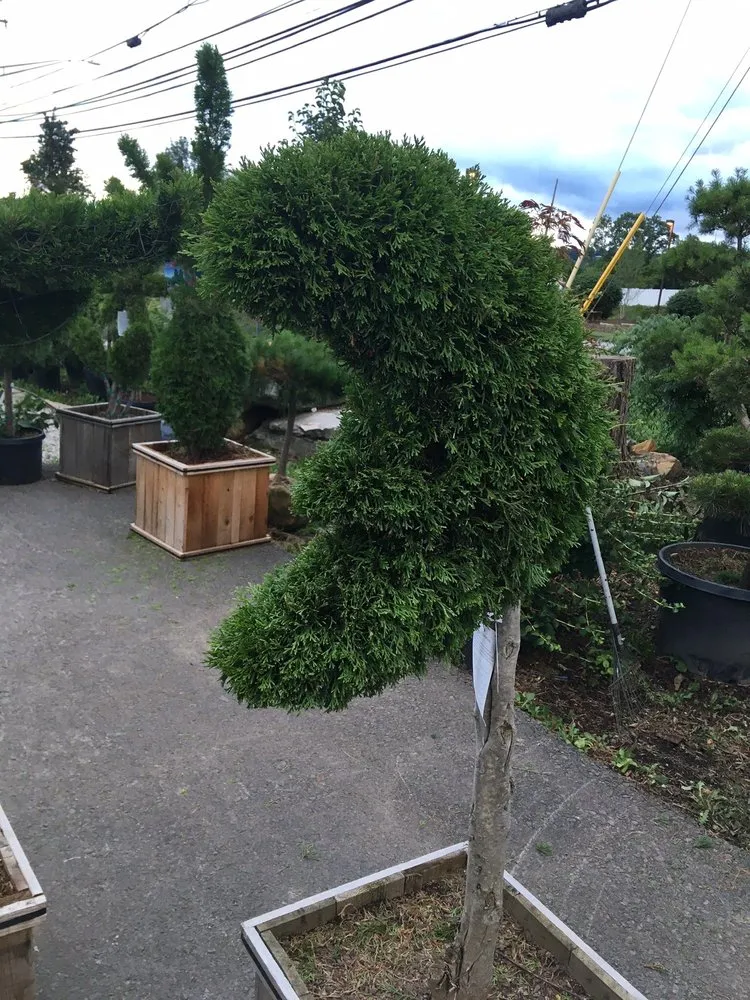 Custom garden landscaping in Pittsburgh, PA by Woehler Landscaping