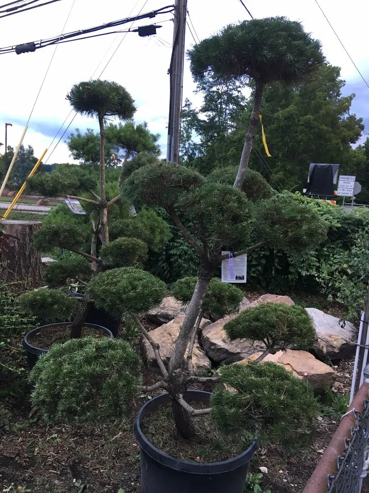 Top-rated residential landscaping in Pittsburgh, PA - Woehler Landscaping