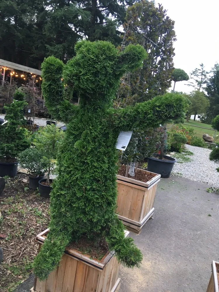 Professional landscape installation in Pittsburgh, PA - Woehler Landscaping