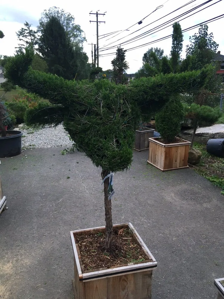 Custom residential landscaping for year-round maintenance in Pittsburgh, PA by Woehler Landscaping