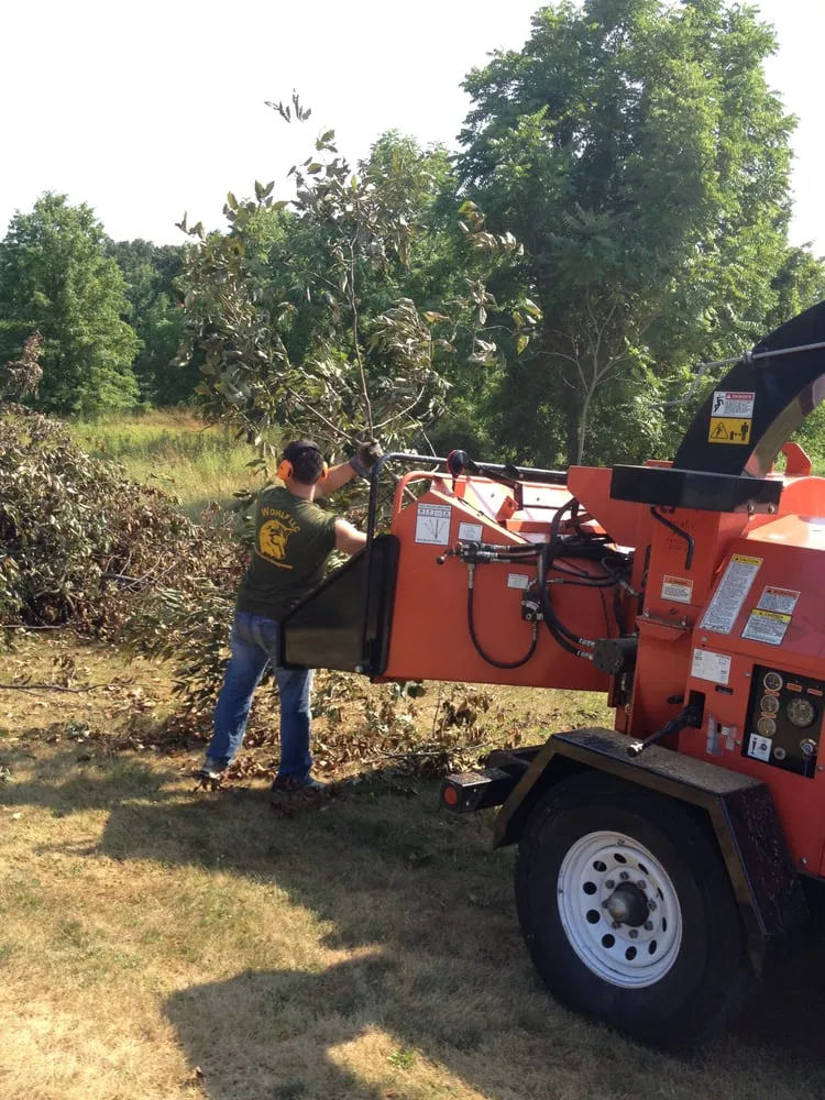 Custom yard maintenance in Hummelstown, PA by Wohlf Lawn & Garden