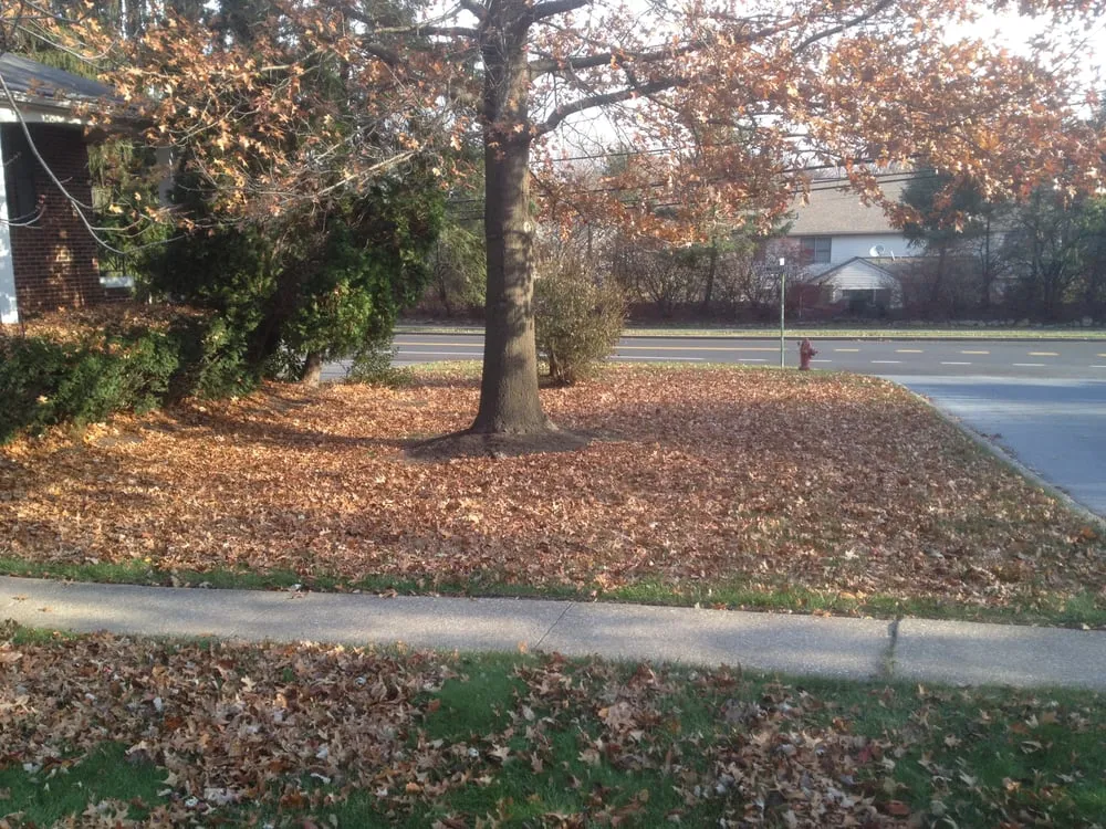 Trusted outdoor landscaping in Hummelstown, PA by Wohlf Lawn & Garden