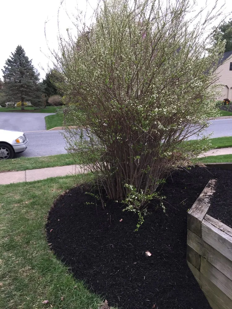 Local lawn mowing service in Hummelstown, PA - Wohlf Lawn & Garden