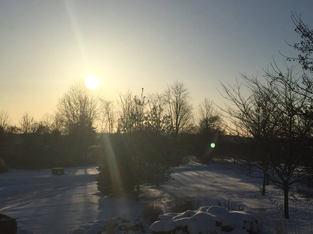 Expert yard maintenance near you across Hummelstown, PA - Wohlf Lawn & Garden