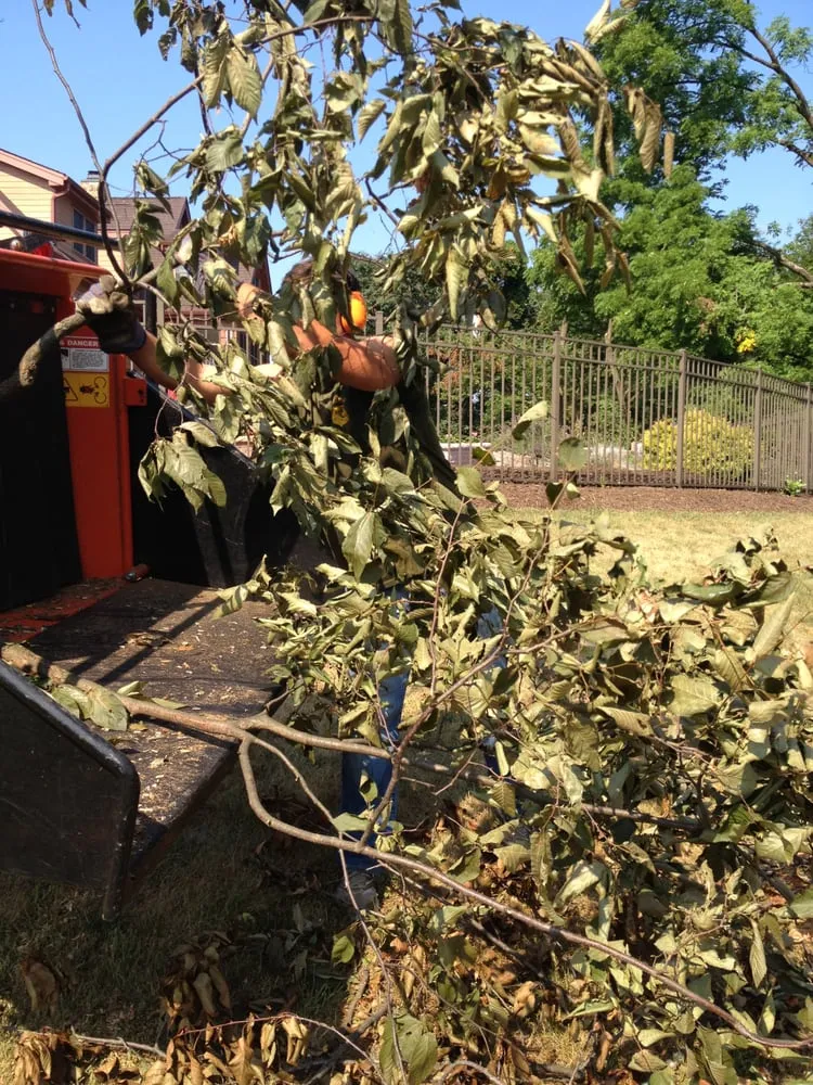 Top-rated lawn mowing service in Hummelstown, PA - Wohlf Lawn & Garden