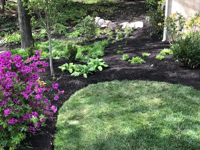 Top-rated residential landscaping in Lansdale, PA by Wojcik Landscaping