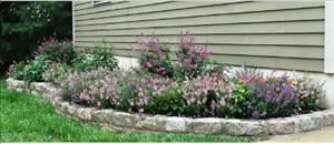 Local yard cleanup service for outdoor upgrades across South Seaville, NJ - Wojcik Lawn Care & Landscaping