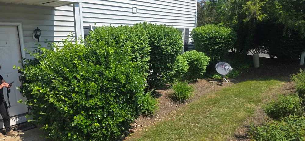 Local yard maintenance near you in Raritan, NJ by Wokavelli Construction and Landscaping