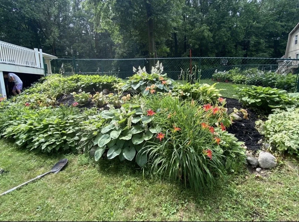 Top-rated yard cleanup service in Wolcottville, IN by Wolcottville Lawn Care