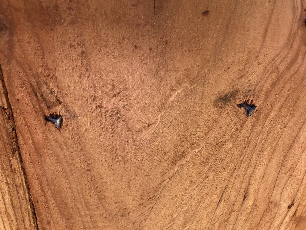 Top-rated landscape design for beautiful yards in Renton, WA by Wolf & Sons Lawn & Landscaping