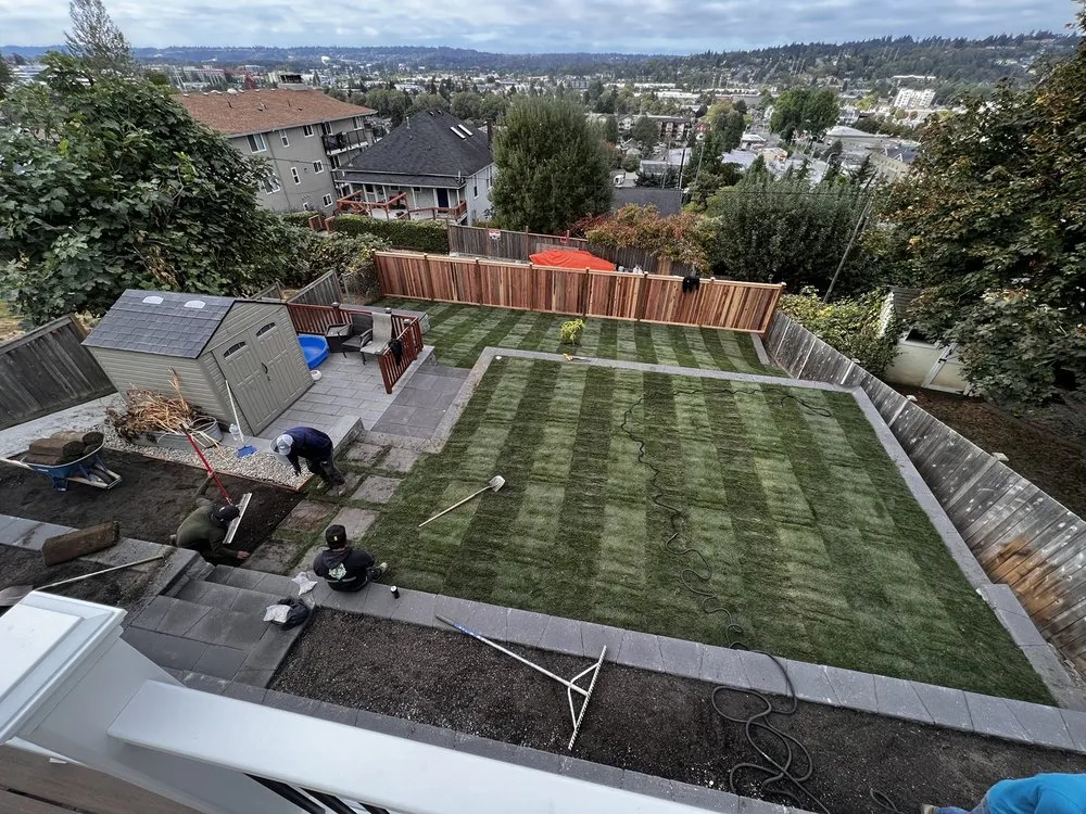 Professional yard cleanup service in Renton, WA by Wolf & Sons Lawn & Landscaping
