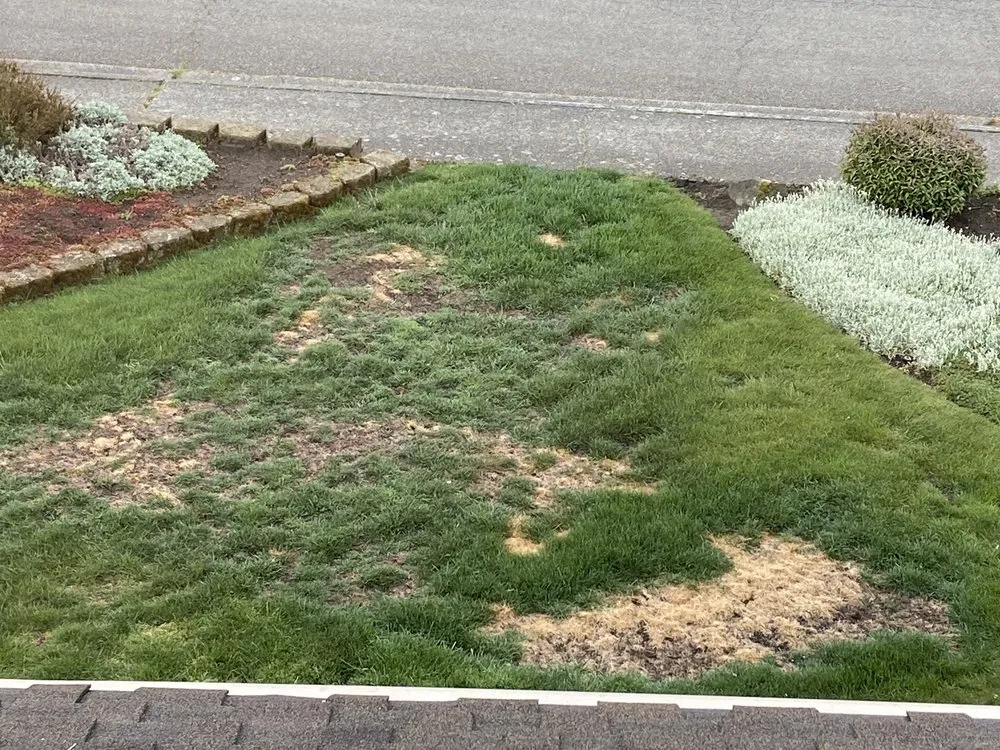 Expert garden landscaping for year-round maintenance across Renton, WA - Wolf & Sons Lawn & Landscaping