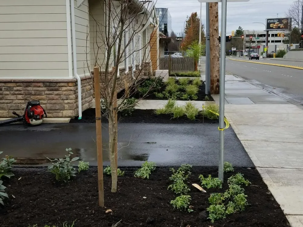 Local yard maintenance in Renton, WA by Wolf & Sons Lawn & Landscaping