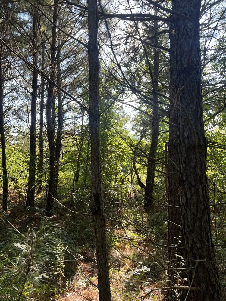 Local outdoor landscaping experts serving Prattville, AL - Wolf Brothers Land Management