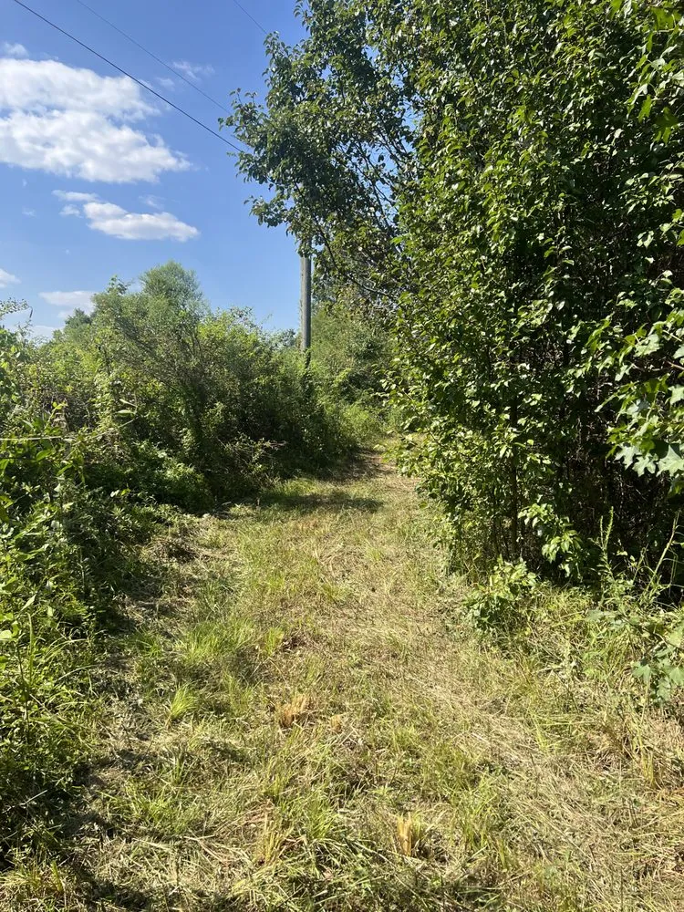 Top-rated landscape installation in Prattville, AL - Wolf Brothers Land Management