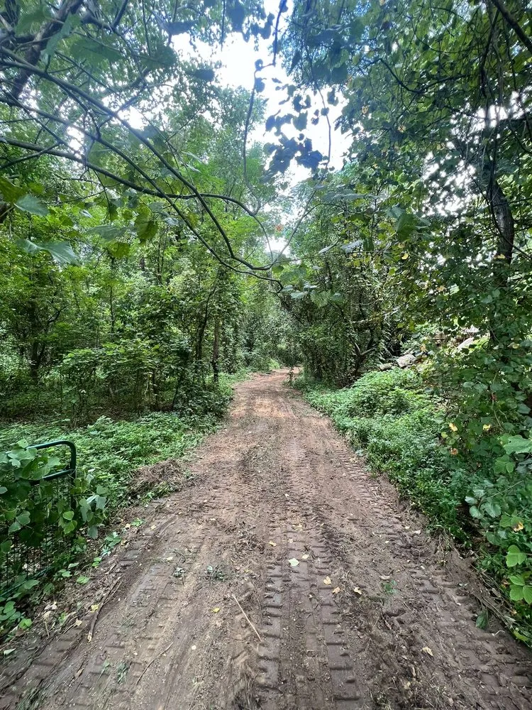 Custom yard cleanup service experts serving Prattville, AL - Wolf Brothers Land Management