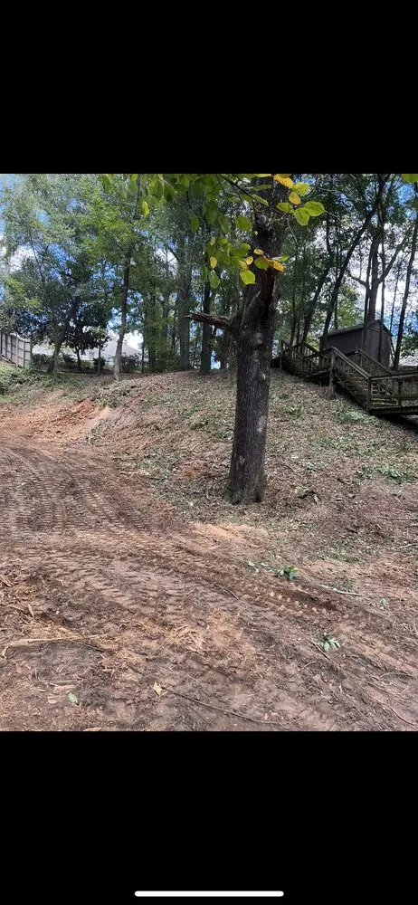 Trusted lawn care service in Prattville, AL by Wolf Brothers Land Management