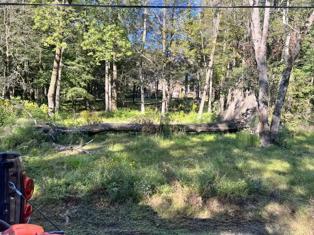 Top-rated landscape installation for outdoor upgrades in Prattville, AL by Wolf Brothers Land Management