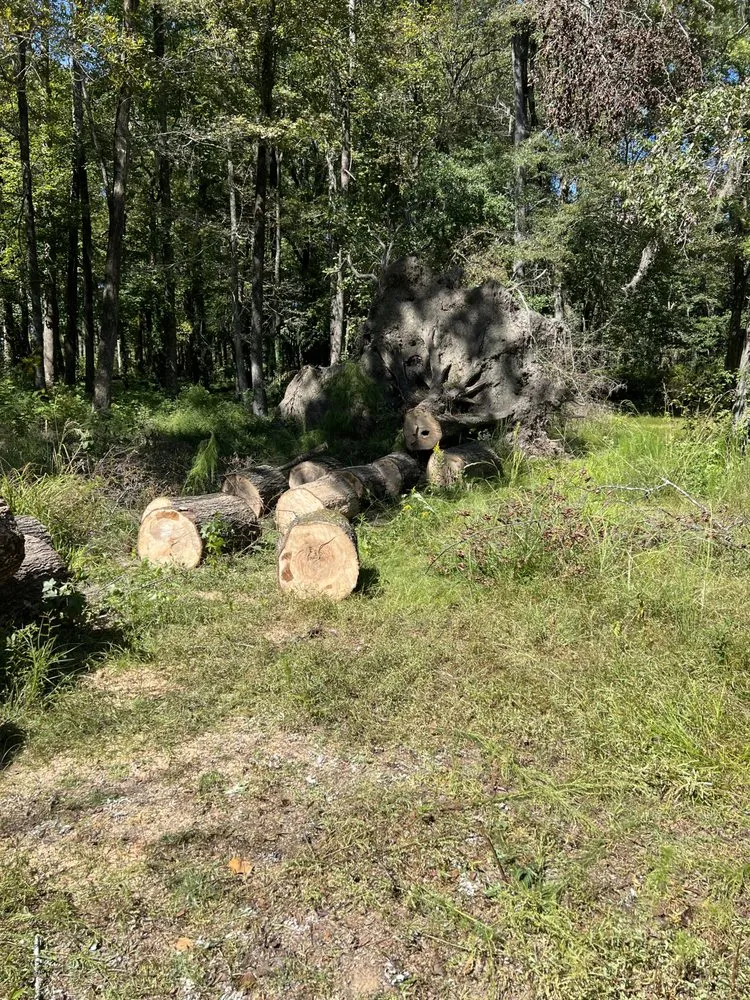 Expert landscaping services for year-round maintenance across Prattville, AL - Wolf Brothers Land Management