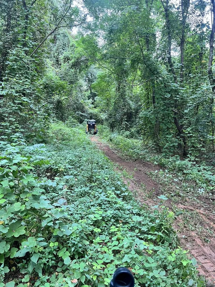 Reliable yard cleanup service experts serving Prattville, AL - Wolf Brothers Land Management